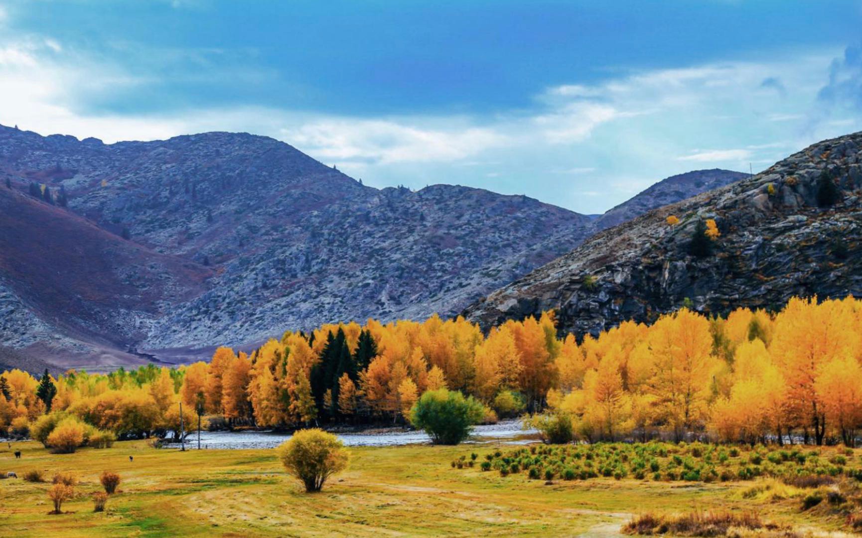 民宿設(shè)計|民宿規(guī)劃|民宿酒店設(shè)計|民宿客棧設(shè)計|鄉(xiāng)村民宿設(shè)計|民宿設(shè)計案例|民宿設(shè)計公司|特色民宿設(shè)計|園林酒店設(shè)計|生態(tài)酒店設(shè)計|集裝箱民宿設(shè)計|集裝箱酒店設(shè)計|田園綜合體設(shè)計|文創(chuàng)園設(shè)計|度假酒店設(shè)計|溫泉度假村設(shè)計|旅游酒店設(shè)計|集裝箱街區(qū)設(shè)計|集裝箱酒店設(shè)計|文旅產(chǎn)業(yè)規(guī)劃|特色小鎮(zhèn)設(shè)計|旅游小鎮(zhèn)規(guī)劃|全域旅游規(guī)劃|產(chǎn)業(yè)園規(guī)劃